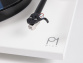 Rega Planar 1 Plus White matt