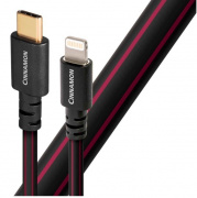 Audioquest Cinnamon Lightning na USB-C 0,75 m