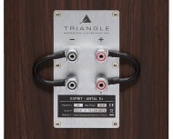 Reproduktory Triangle Esprit Antal EZ Black Ash