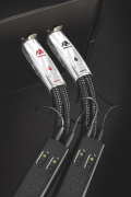 Audioquest Dragon interconnect XLR - 0,5m